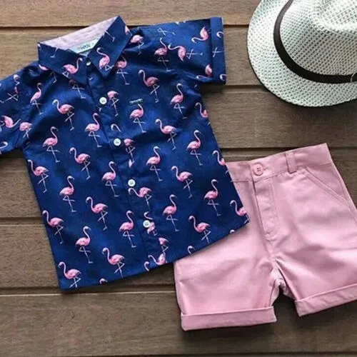 2pcs Toddler Infant Kids Outfits Clothes Set Flamingo Set Baby Girls Short Sleeve Shirts+Shorts Summer Outfits Clothes Set