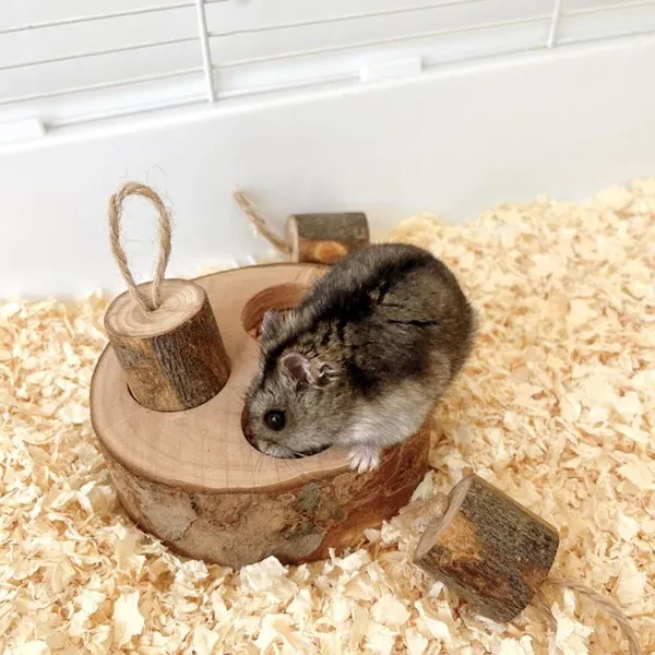 Small Pet Foraging Toy for Hamster Rabbits Snacks Dispenser Feeder Cage Accessory Small Animal Treats Feeder Toy